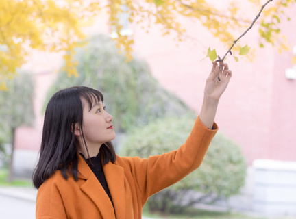 办理菲律宾旅游签证需要面签吗(旅游签免签详情分享)